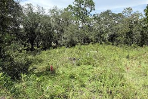 Land in Williston, Florida № 2361224
