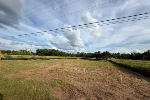Land in Ocklawaha, Florida № 2164826