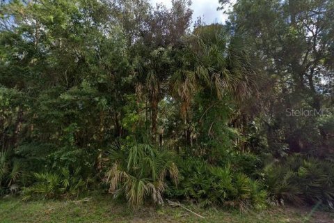 Terrain à vendre à Inglis, Floride № 2238864 - photo 2