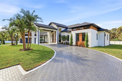 House in Tampa, Florida 4 bedrooms, 394.46 sq.m. № 2144267