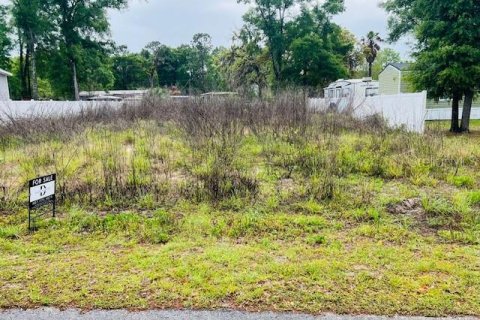 Terrain à vendre à Ocala, Floride № 2239940 - photo 4