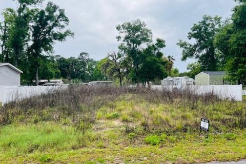 Land in Ocala, Florida № 2239940