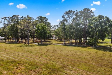 Terreno en venta en Tarpon Springs, Florida № 1906463 - foto 12