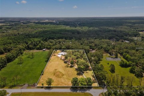 Terreno en venta en Tarpon Springs, Florida № 1906463 - foto 8