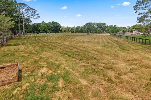 Terreno en venta en Tarpon Springs, Florida № 1906463 - foto 20