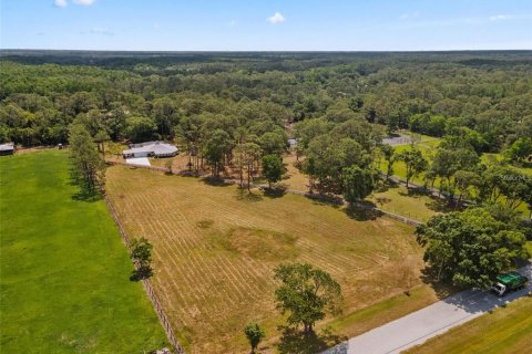 Terreno en venta en Tarpon Springs, Florida № 1906463 - foto 2