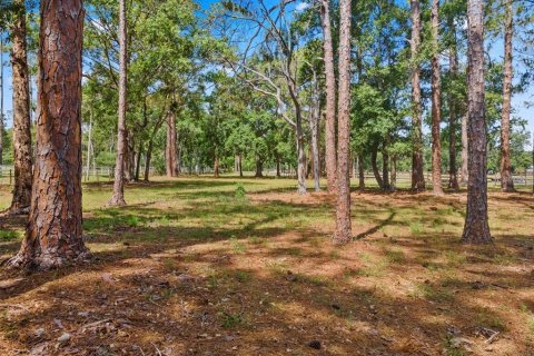 Terreno en venta en Tarpon Springs, Florida № 1906463 - foto 14