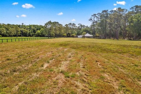 Terreno en venta en Tarpon Springs, Florida № 1906463 - foto 21