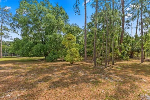 Terreno en venta en Tarpon Springs, Florida № 1906463 - foto 17