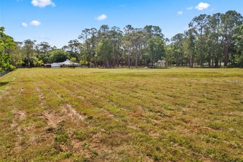Terreno en venta en Tarpon Springs, Florida № 1906463 - foto 7