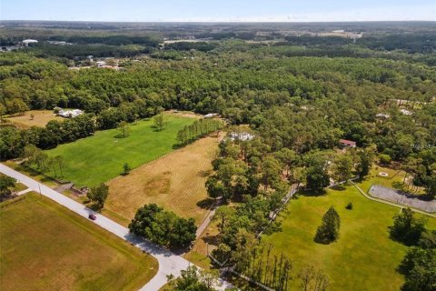 Terreno en venta en Tarpon Springs, Florida № 1906463 - foto 22