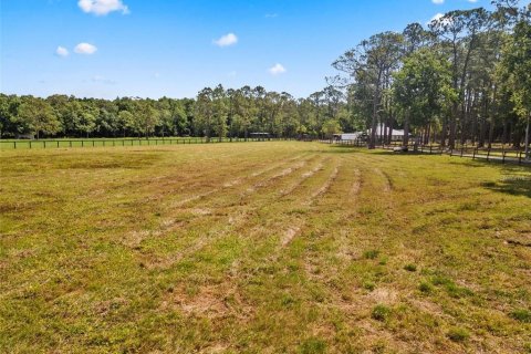 Terreno en venta en Tarpon Springs, Florida № 1906463 - foto 5