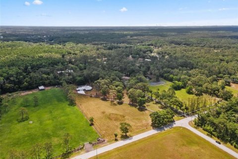 Terreno en venta en Tarpon Springs, Florida № 1906463 - foto 11