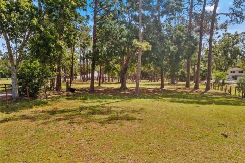 Terreno en venta en Tarpon Springs, Florida № 1906463 - foto 16