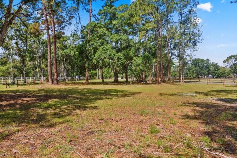 Terreno en venta en Tarpon Springs, Florida № 1906463 - foto 15