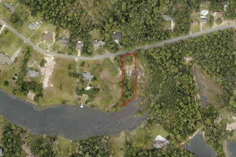 Land in Crestview, Florida № 1858315 - photo 2