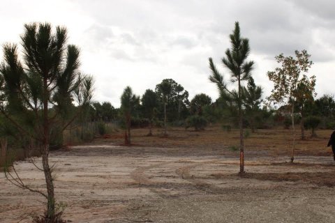 Immobilier commercial à vendre à Okeechobee, Floride № 2193451 - photo 4