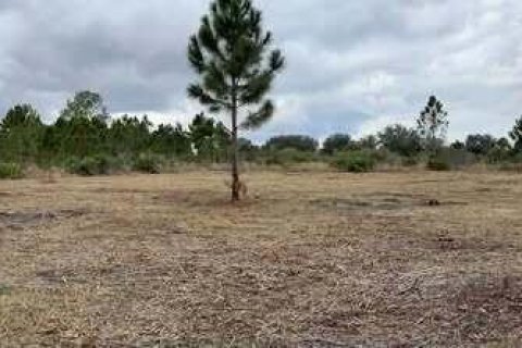 Immobilier commercial à Okeechobee, Floride № 2193451