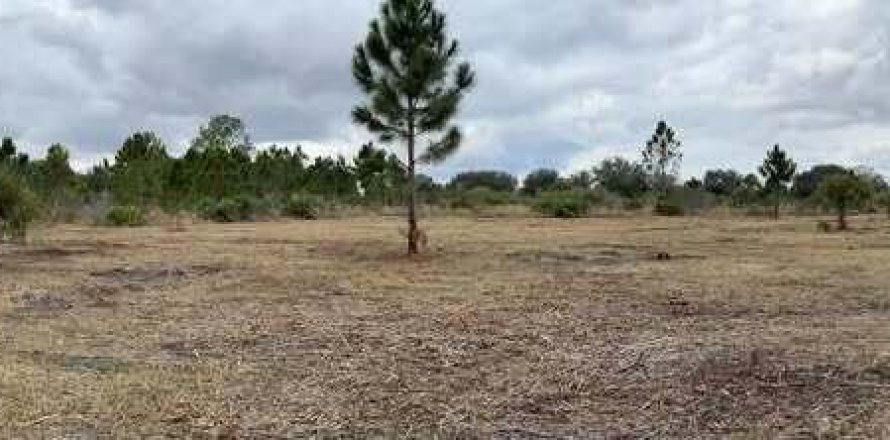 Immobilier commercial à Okeechobee, Floride № 2193451