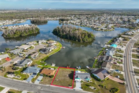 Terreno en venta en Sun City Center, Florida № 1542725 - foto 3
