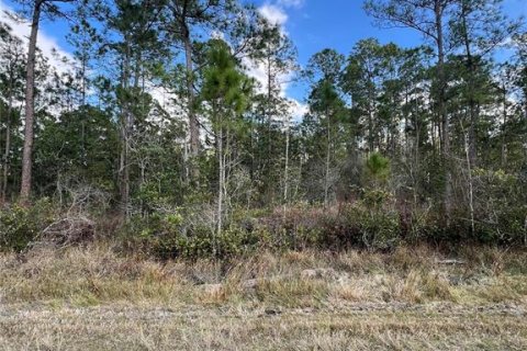 Land in Sebring, Florida № 2228849