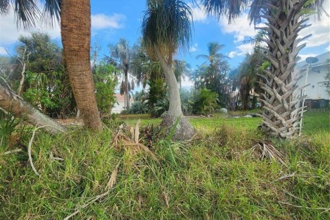 Terrain à vendre à Punta Gorda, Floride № 2098802 - photo 8