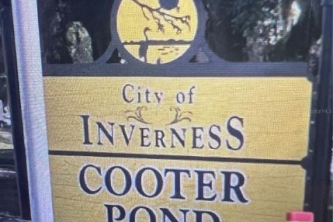 Land in Inverness, Florida № 2162436 - photo 4