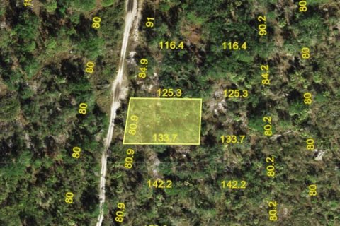 Land in Punta Gorda, Florida № 2223840 - photo 2