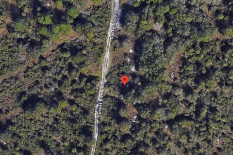 Land in Punta Gorda, Florida № 2223840 - photo 5