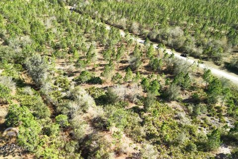 Land in Indian lake estates, Florida № 2161952 - photo 7