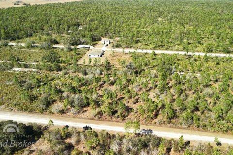 Land in Indian lake estates, Florida № 2161952 - photo 13