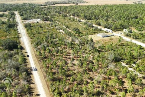 Land in Indian lake estates, Florida № 2161952 - photo 16