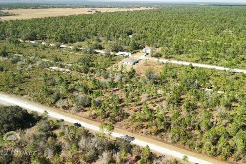 Land in Indian lake estates, Florida № 2161952 - photo 15