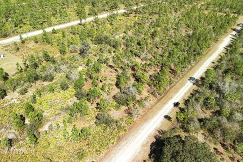 Land in Indian lake estates, Florida № 2161952 - photo 30
