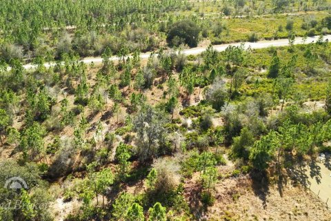 Land in Indian lake estates, Florida № 2161952 - photo 4