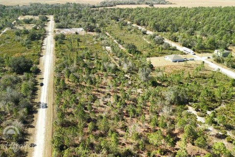 Land in Indian lake estates, Florida № 2161952 - photo 17