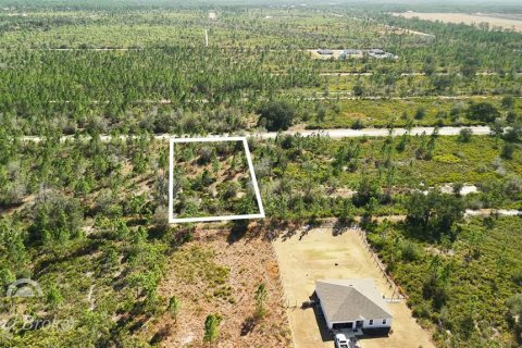 Land in Indian lake estates, Florida № 2161952
