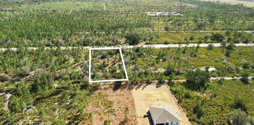 Land in Indian lake estates, Florida № 2161952
