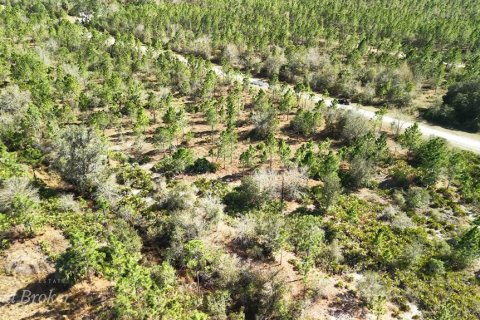 Land in Indian lake estates, Florida № 2161952 - photo 6