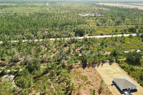 Land in Indian lake estates, Florida № 2161952 - photo 22