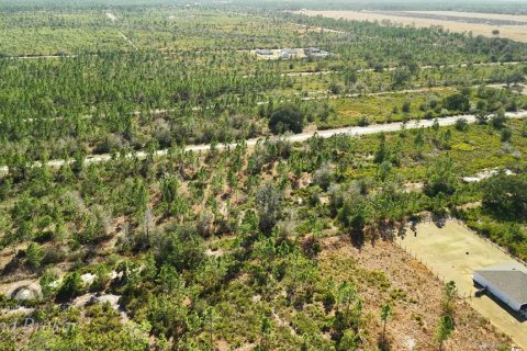 Land in Indian lake estates, Florida № 2161952 - photo 20