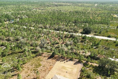 Land in Indian lake estates, Florida № 2161952 - photo 25