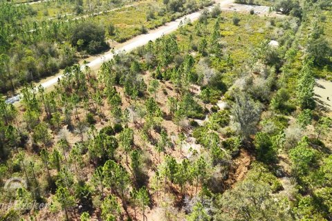 Land in Indian lake estates, Florida № 2161952 - photo 3