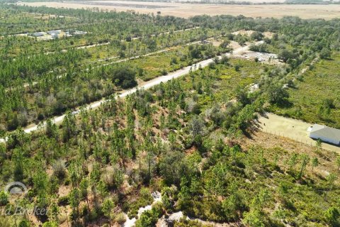Land in Indian lake estates, Florida № 2161952 - photo 18