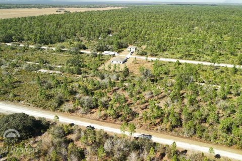 Land in Indian lake estates, Florida № 2161952 - photo 14