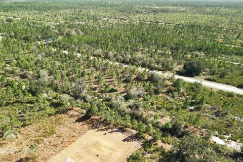 Land in Indian lake estates, Florida № 2161952 - photo 26