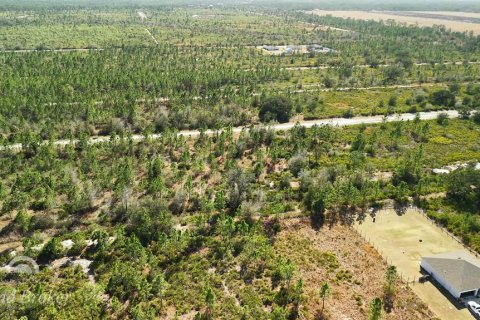 Land in Indian lake estates, Florida № 2161952 - photo 21