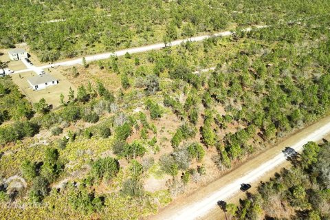 Land in Indian lake estates, Florida № 2161952 - photo 10
