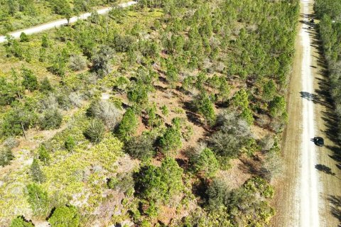 Land in Indian lake estates, Florida № 2161952 - photo 8