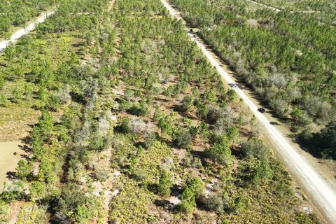 Land in Indian lake estates, Florida № 2161952 - photo 29